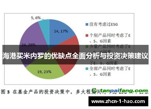 海港买米内罗的优缺点全面分析与投资决策建议