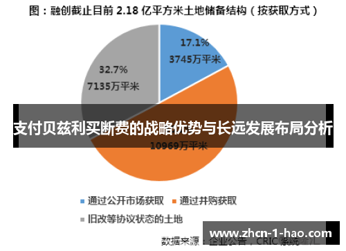 支付贝兹利买断费的战略优势与长远发展布局分析