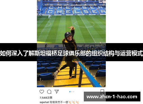 如何深入了解斯坦福桥足球俱乐部的组织结构与运营模式