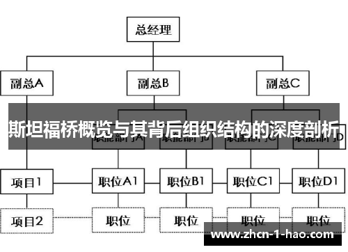 斯坦福桥概览与其背后组织结构的深度剖析