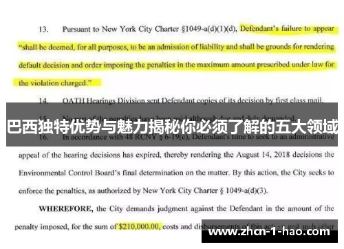 巴西独特优势与魅力揭秘你必须了解的五大领域