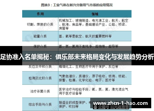 足协准入名单揭秘：俱乐部未来格局变化与发展趋势分析