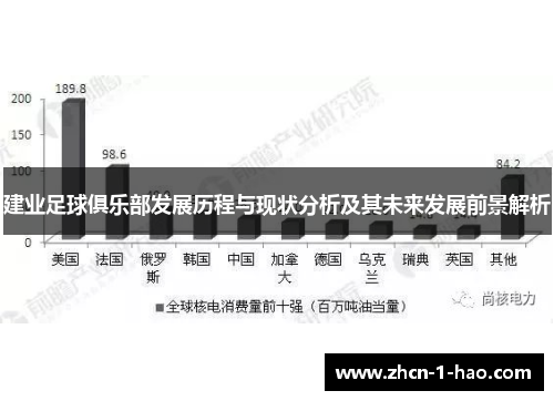建业足球俱乐部发展历程与现状分析及其未来发展前景解析