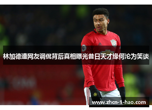 林加德遭网友调侃背后真相曝光昔日天才缘何沦为笑谈 林加德遭网友调侃背后真相曝光昔日天才缘何沦为笑谈